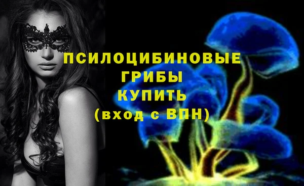 герыч Навашино