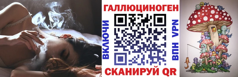 Галлюциногенные грибы Psilocybine cubensis  наркота  Аргун 